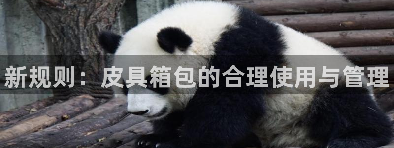 意昂体育3联系电话
