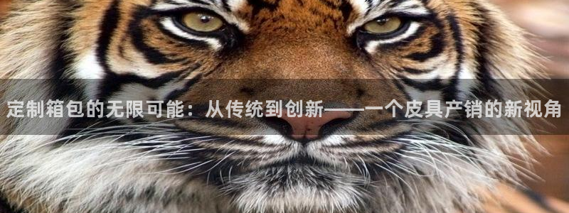 意昂体育3招商电话地址查询