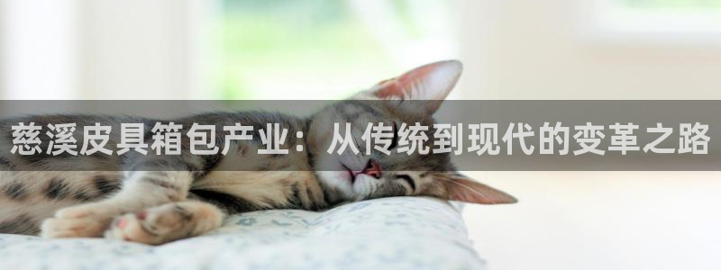 意昂体育3平台是正规平台吗知乎