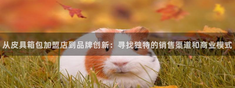 意昂3集团E.ON