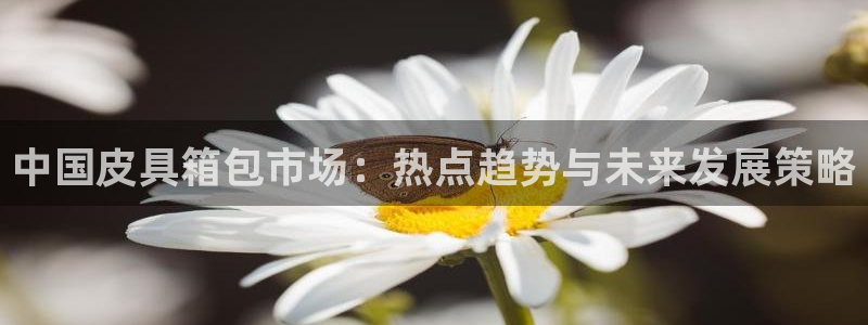 意昂3科技