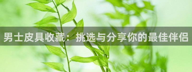 意昂体育3招商电话号码是多少