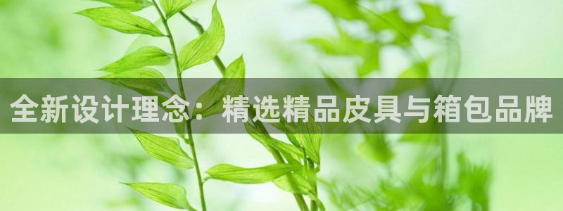 意昂3集团简介