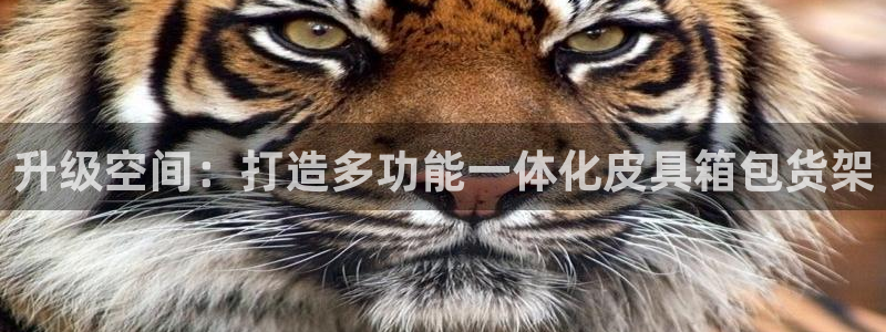 意昂3娱乐网站