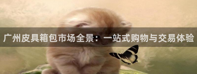 意昂体育3是干嘛的公司