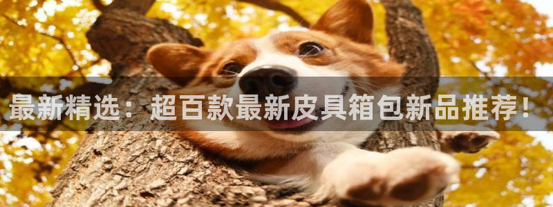 意昂体育3招商电话号码是多少号