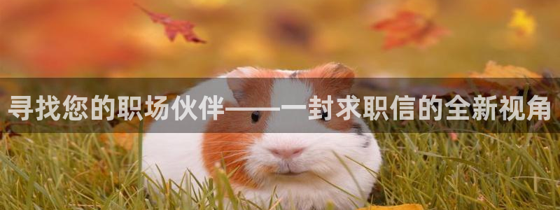 意昂体育3娱乐