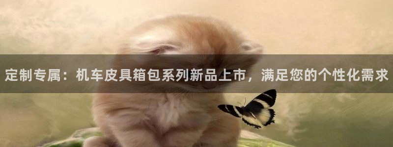 意昂3集团E.ON