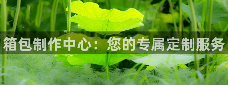 意昂3娱乐是那个系列的台子