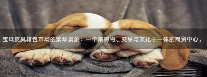 意昂3集团E.ON