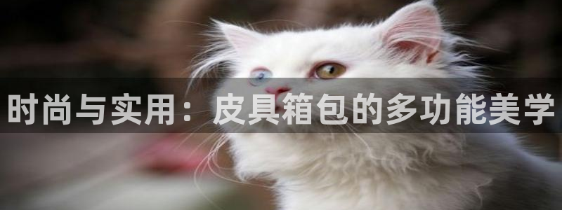 意昂体育3开户