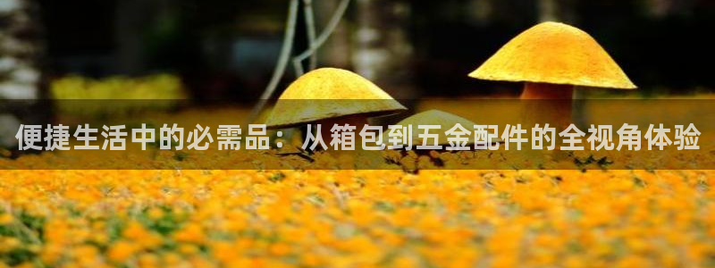 意昂3官方