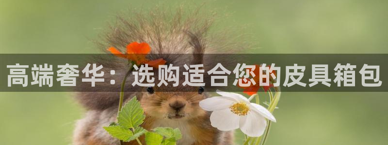 意昂体育3招商电话号码是多少