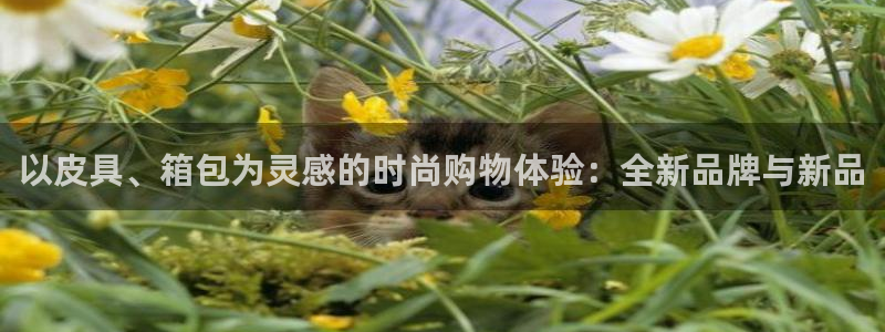 意昂3科技