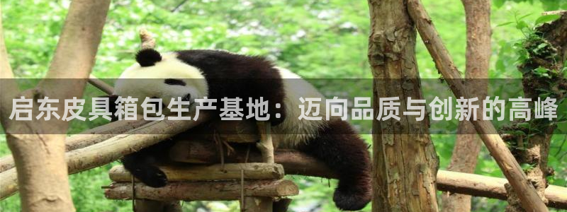 意昂体育3招商电话号码是多少啊